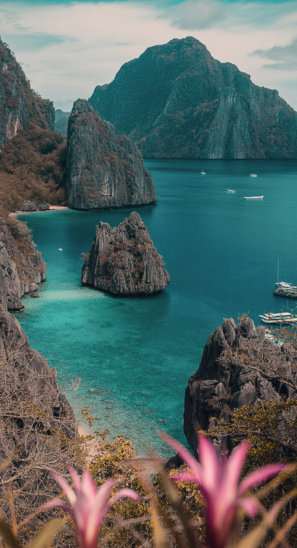 beautiful cute nature mobile phone wallpaper background (16)