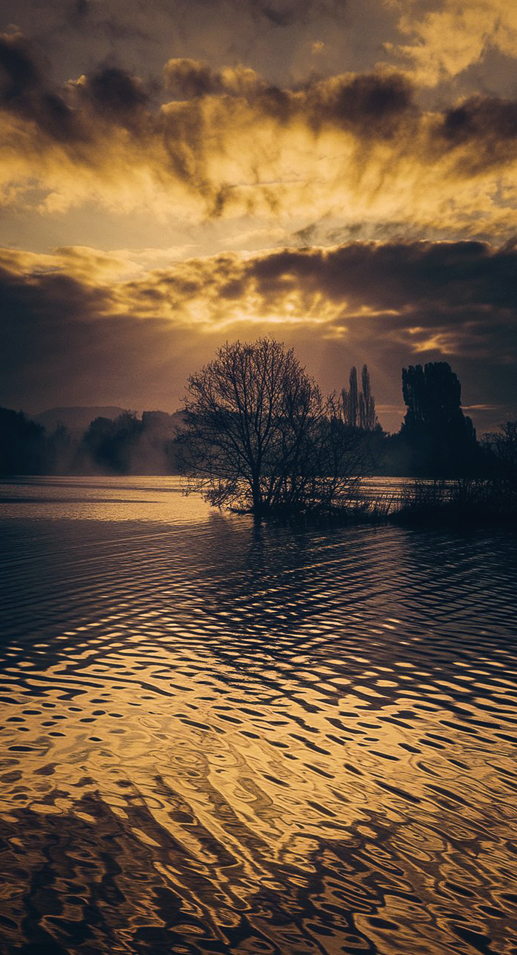 beautiful cute nature mobile phone wallpaper background (24)