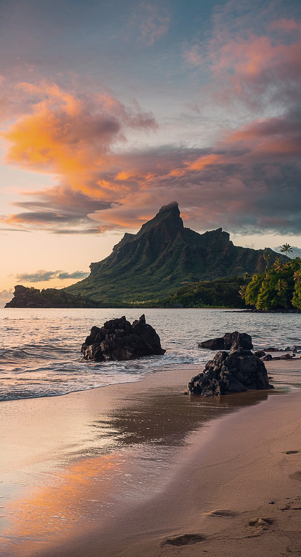 beautiful cute nature mobile phone wallpaper background (40)