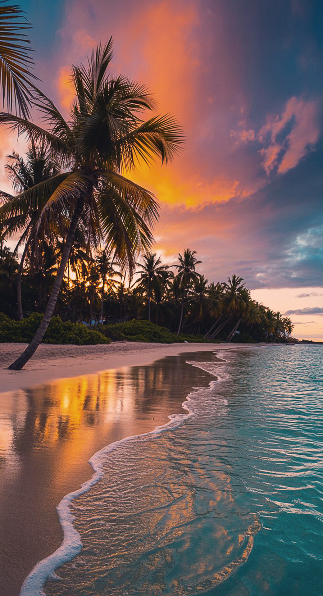 beautiful cute nature mobile phone wallpaper background (43)