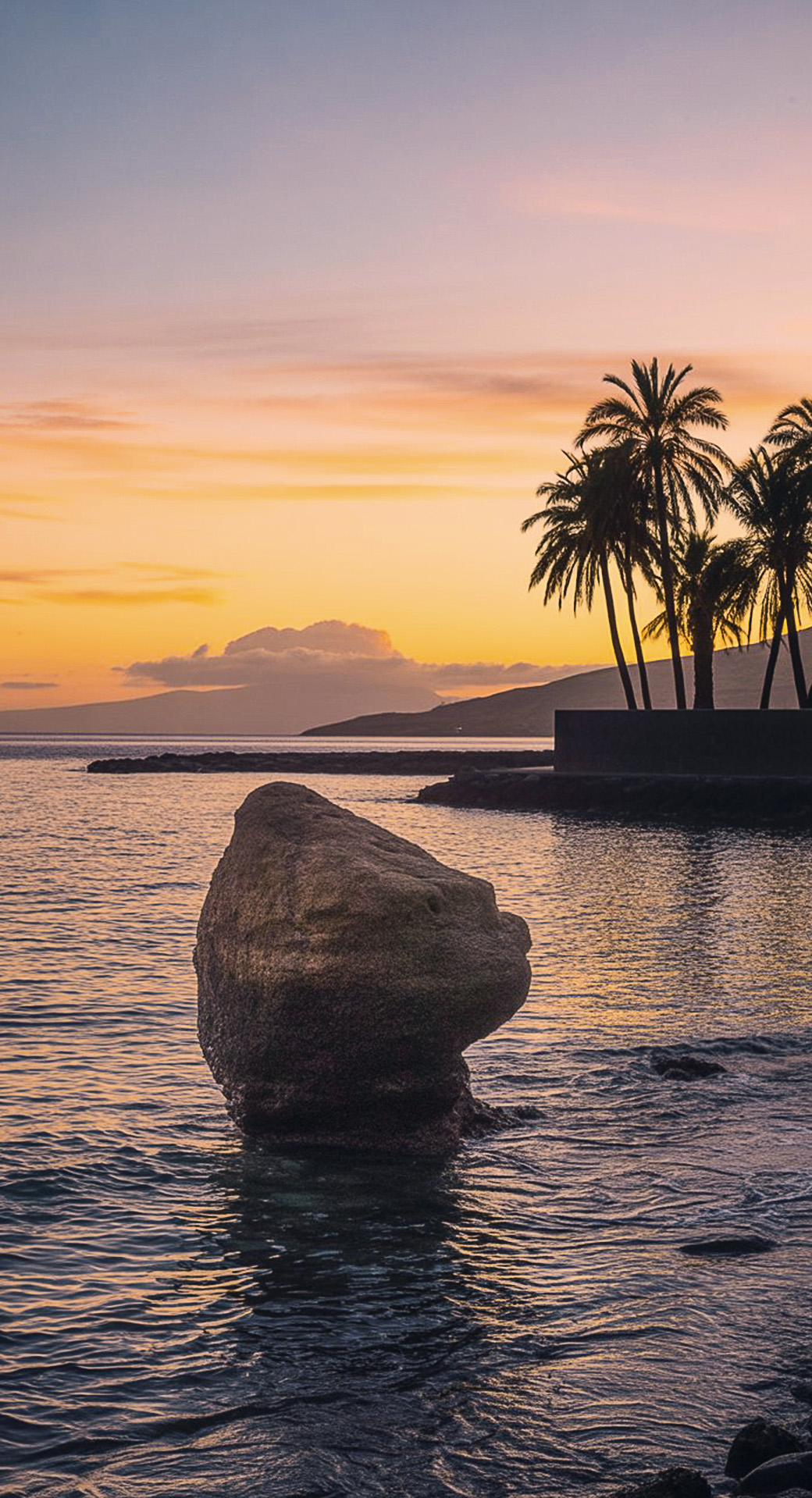 beautiful cute nature mobile phone wallpaper background (53)