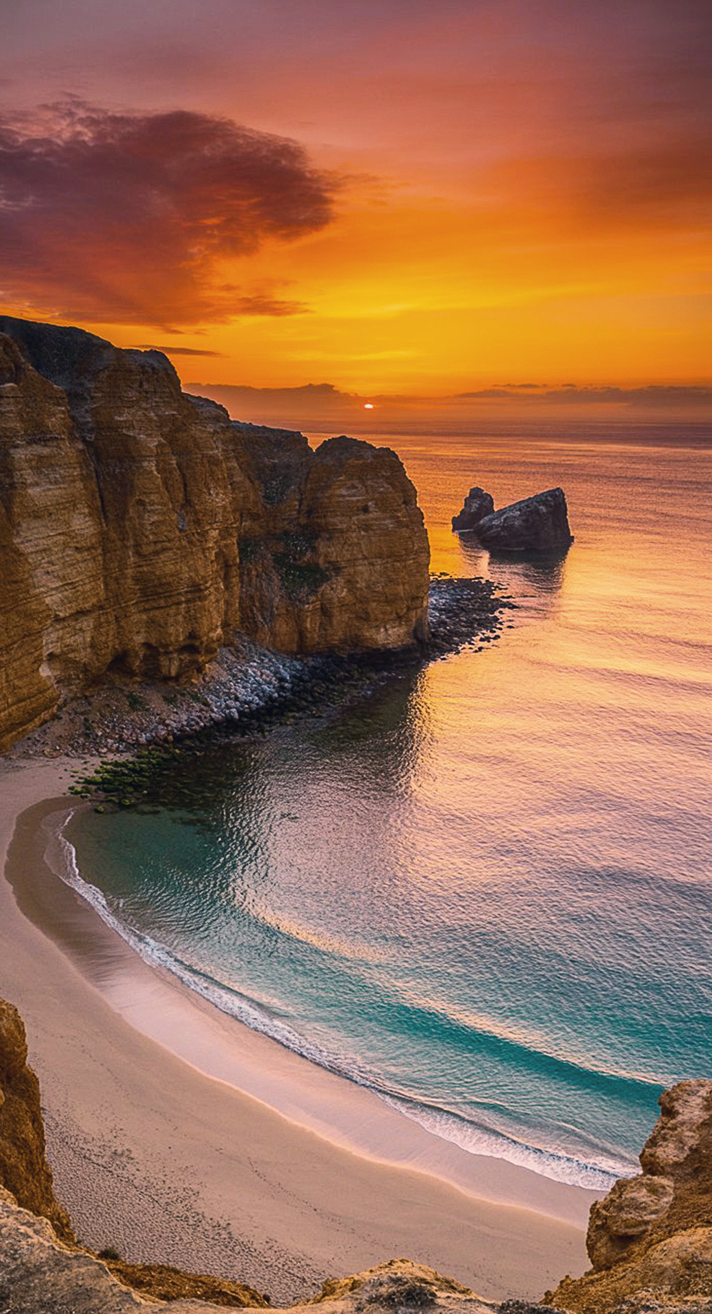 beautiful cute nature mobile phone wallpaper background (56)