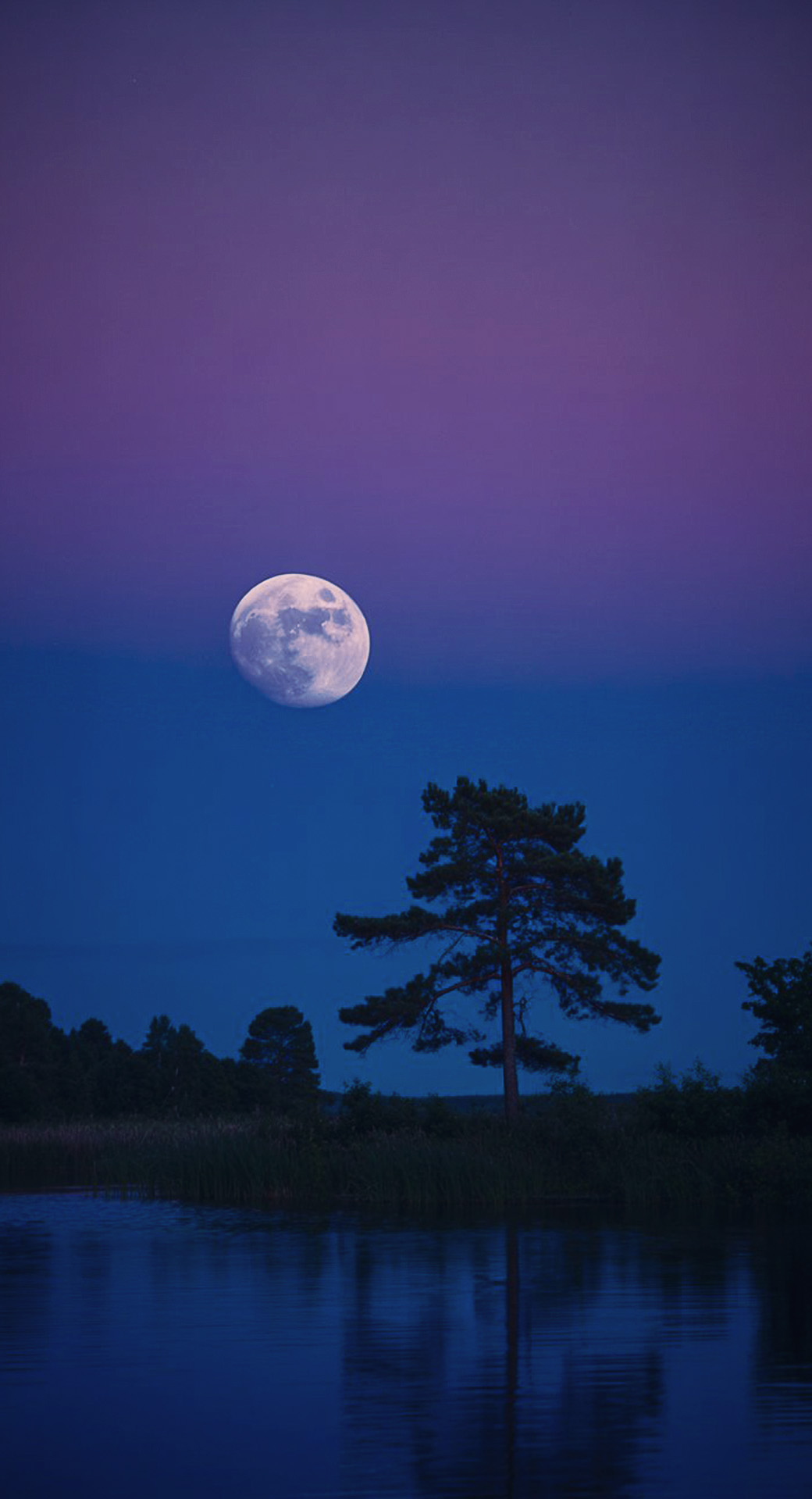 beautiful cute nature mobile phone wallpaper background (65)