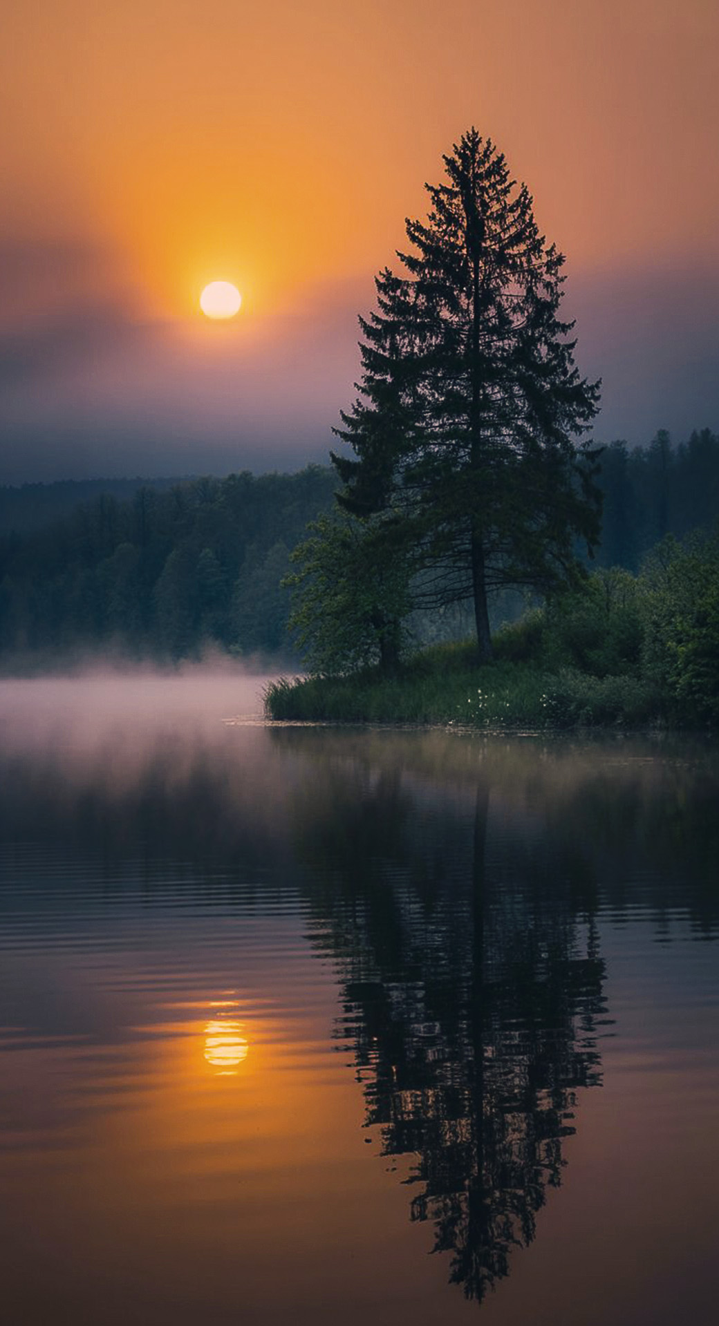 beautiful cute nature mobile phone wallpaper background (66)