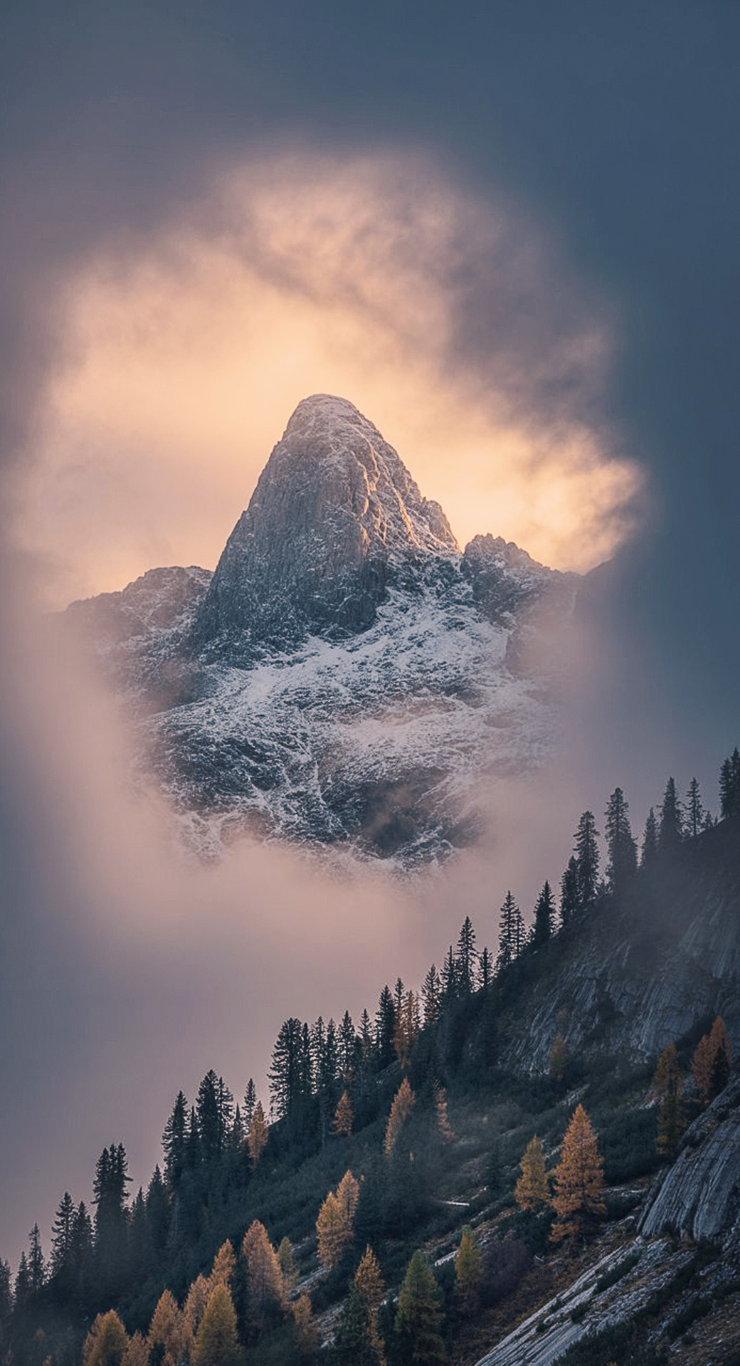 beautiful cute nature mobile phone wallpaper background (88)