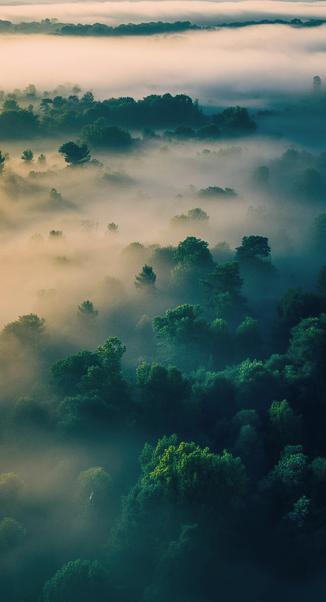 beautiful cute nature mobile phone wallpaper background (89)